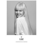 아이브 <b>리즈</b> 프로필 공개