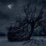 [아이유]해킹 범죄에 관여하여, 공범으로 형사 <b>처벌</b>