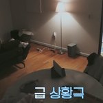 [방탄소년단] 호비랑 지민이 알차게 놀았다ㅋㅋㅋ