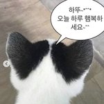 이 짤 <b>원본</b> 있는사람ㅠㅠㅠㅠㅠ?