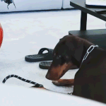 [드루와] <b>sky</b> 못 가는 게 사람임?