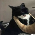 [댓글부탁해] 학원<b>보충</b> 어떻게 생각함??