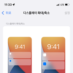 아이폰 디스플레이 확대 해서 쓰는 애들 잇냐