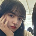 리즈 <b>과사뜸</b>