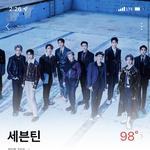 [세븐틴] 얘들아 콘서트 분철