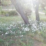 [종교와<b>진리</b>] 이단 구원파 IYF