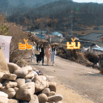 <b>스테이</b>씨는 청순쪽이지?? 걸크아니고?