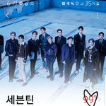 [세븐틴] 약ㅅㄷ)콘서트 있잖아