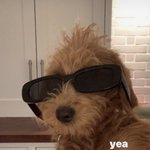 얘들아 <b>위드</b>코로나여도