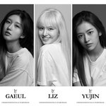 아이브 얼굴만 보고 최애 골<b>라바</b>