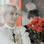 <b>정우</b>는 뭘까 진짜..