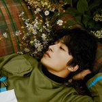 사진잇) 나 <b>내성</b>발톱 심하냐