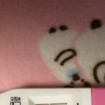 [이것좀봐줘] 임테기 <b>한줄</b>