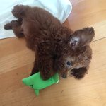 톡선 키 글 보고 생각난건디 ㅈㅂ