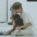 뷔 <b>일상</b>예능 보고싶다