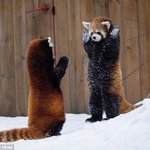 [이것좀봐줘] 아니 판녀들아 나 이거 애바야??!?!?!?