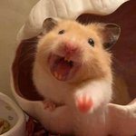 그거 <b>영상</b>아는사람 ㅠ