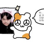 [세훈] <b>세후</b>닝