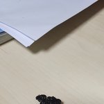 [이것좀봐줘] 고구마깡 <b>행운아</b>