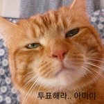 [방탄소년단] ⚠️(ㅎㅇㅍ) 투표 가보자고