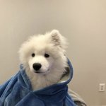 [드루와] 인강교재 <b>전년</b>도거랑 차이 많이 나?