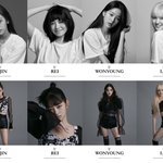 와 아이브 6멤 전부 우월한 것 <b>보소</b>