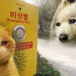 [NCT칠프] <b>유사</b> 육아 호모 다 하는 사람 있냐