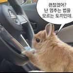 [스키즈] 하이고 뭐했다고 또 월요일이냐
