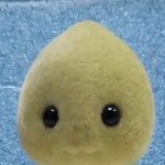 야 만약에 이렇게 대학 붙으면 어케됨