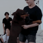 [방탄소년단] 멜뮤 투표 열렸엉~~