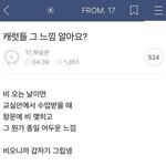[세븐틴] 세븐틴 <b>이런</b>짤 공유하자