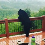 이럴 땐 영락없는 <b>곰돌</b>이 아닌가요?