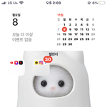 폰꾸 했어
