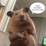 [댓글부탁해] 이거 짤 뭐라 <b>검색</b>해야 돼??