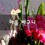 [좋은생각] 마음 바구니~