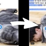 [BTOB] ❤️오늘도 행복한 람디&amp;도토리를 위한 준비<b>사항</b>❤️