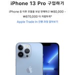 아이폰13<b>프로</b> 어떤 색 살까?ㅠㅠ