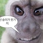 이런짤 공유좀ㅠㅜㅜ