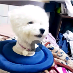 나 남잔데 전여친이 <b>sns</b>에 좋아요누름