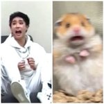 [스키즈] 마마 나오는건 확정인가