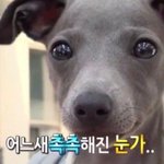 [NCT드림] 근데 우리 진짜 쉬운 거 하나 없이