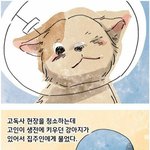 <b>고독사</b> 현장에 남겨진 강아지