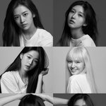 [모두드루와] 아이브 가을 안유진 레이 장원영 리즈 이서 진짜 사람입니까...