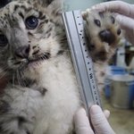 [ㅈㄱㄴ] 와 근데 한국이 메이크업 진짜 잘하는거였어