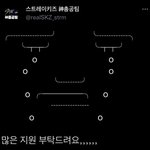 [스키즈] ‼️