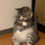 [19] 백신 맞은 사람..
