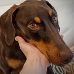 [방탄소년단] 밤이 <b>수컷</b>이네ㅋㅋ