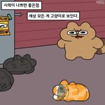 [드루와] 애드라 <b>아이</b><b>브로우</b> 존좋템 알려줌 ㄹㅇ