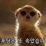 [NCT칠프] <b>예</b>