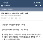 [NCT칠프] 정우 <b>유타</b> 나비즈 어때